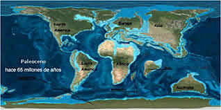 Paleogeen