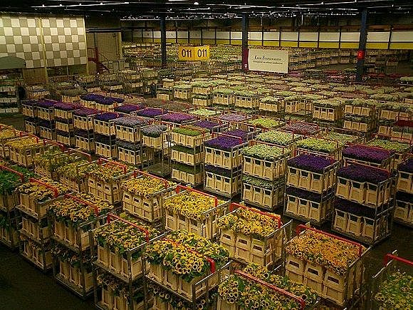 Aalsmeer o mercado de las flores