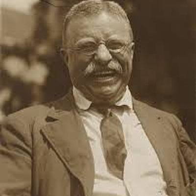Timeline: Teddy Roosevelt Project