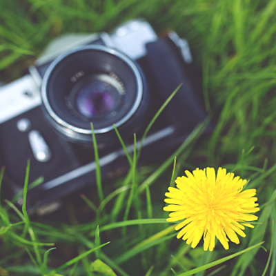 Timeline: Fotografía