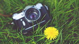 Timeline: Fotografía