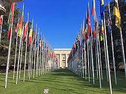 ESTABLECIMIENTO DE LA ONU