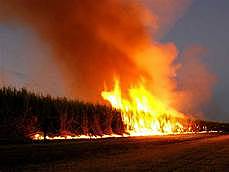 amazonas es crema(climàtic)