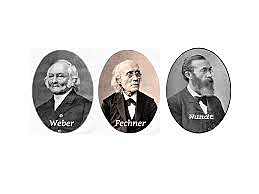 WUNDT - WEBER - FECHNER