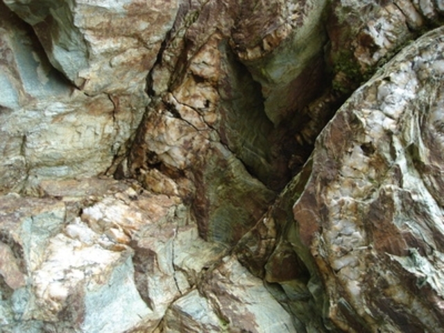 (4 billion years ago) Organic Molecules