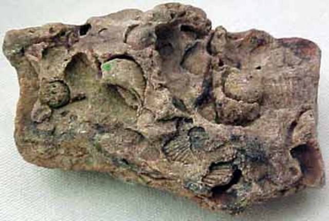 3.5 bya (stromanict layers)