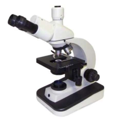 (1665)-First Microscope was created
