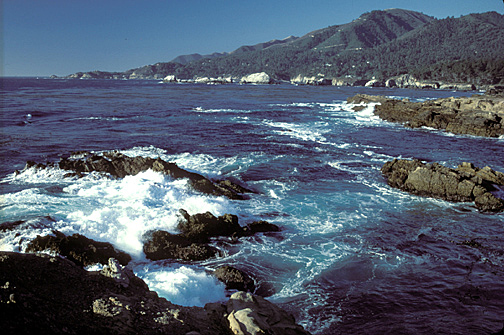 Introduction: Abiotic Factors of an Ecosystem