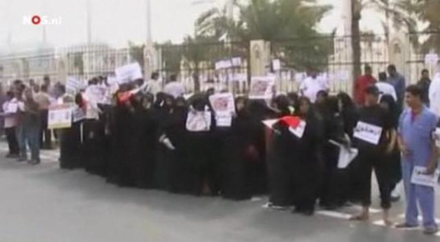 Dag 15 - Menselijke keten bij parlementsgebouw