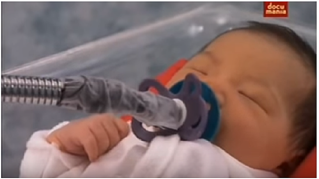 A las 12 horas de nacidos