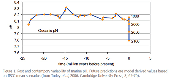 Dissolved Carbon Dioxide Leading to Decreased pH in the Ocean (Ocean Acidification)