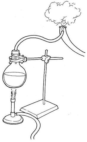 1700's Spallanzni's Experiment