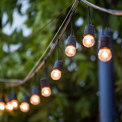 Timeline: HISTORIA DEL CIRCO