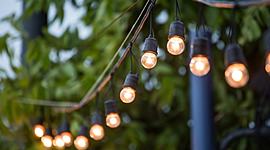 Timeline: HISTORIA DEL CIRCO