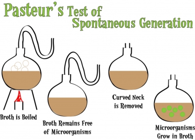 (mid-1800s)-Pasteur's experiment