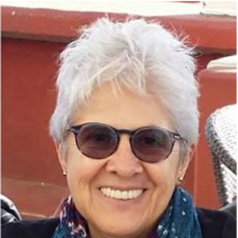 Alicia de Alba (Teoría crítica)