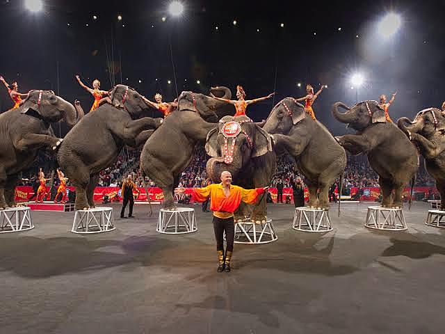 "Ringling Brothers and Barnum & Bailey Circus"