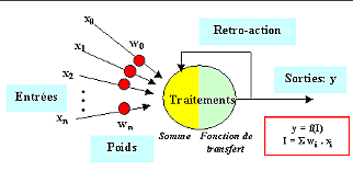 Apprentissage autonome qui imite les neurones vivants