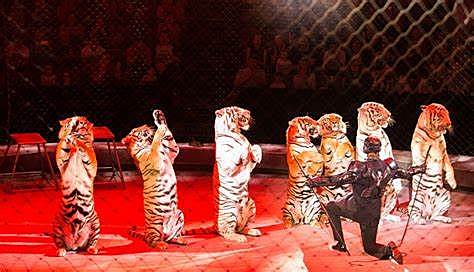 Antiguo circo de Moscú