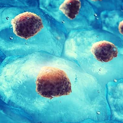 Timeline: Línea del tiempo de la célula