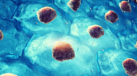 Timeline: Línea del tiempo de la célula