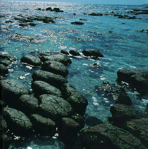 (3.5 BYA) Stromatolites