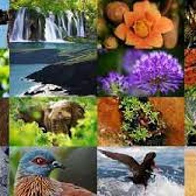 Timeline: historia de la clasificación 3