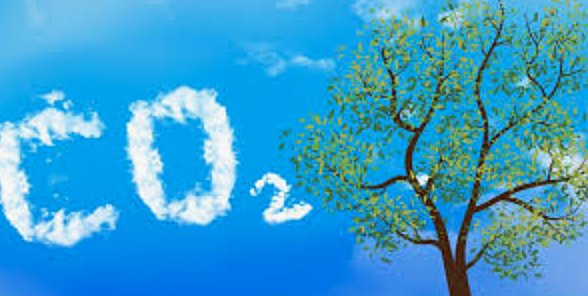 Abiotic factors of an ecosystem