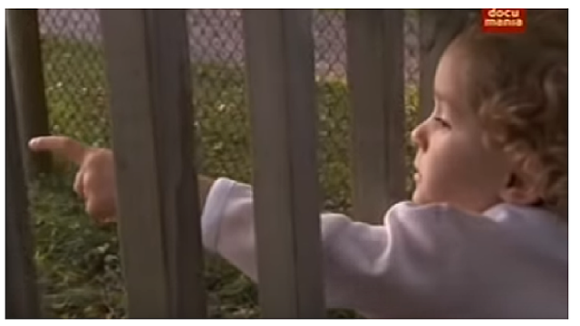 La explosión del lenguaje