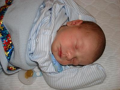 •	6 SEMANAS DE VIDA