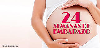 24 SEMANAS DE GESTACION