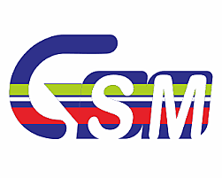 Telefonía móvil GSM.