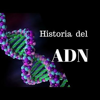Timeline: ADN: HISTORIA DE UN ÉXITO CIENTÍFICO