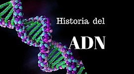 Timeline: ADN: HISTORIA DE UN ÉXITO CIENTÍFICO