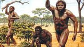 Timeline: Historia del Desarrollo de escuelas pedagógicas