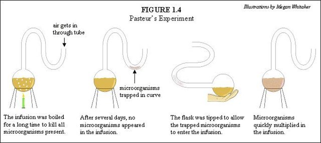 (1822-1895) Pastures experiment