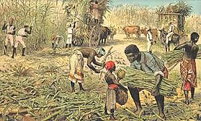 1851 Anula miento de la  esclavitud