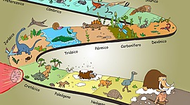 Timeline: EL LARGO CAMINO DE LA EVOLUCIÓN