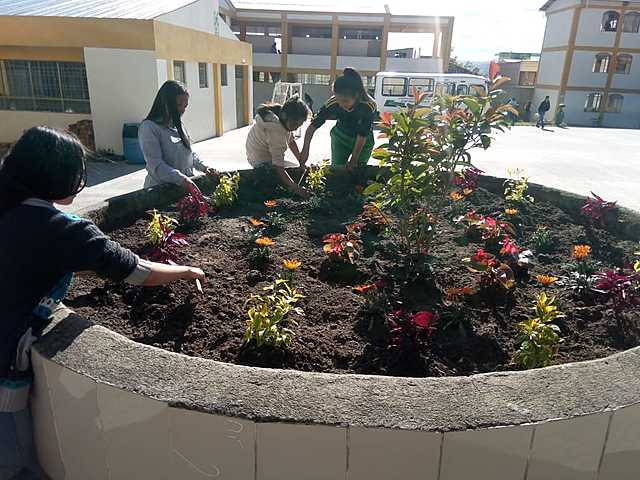 Proyecto de educación Ambiental: Una buena cultura ambiental genera calidad de vida