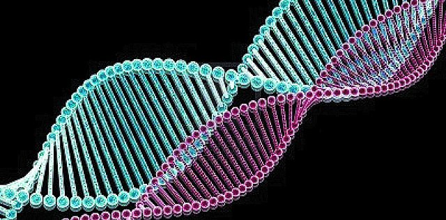 Se aísla el ADN como material genético