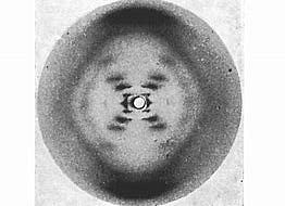 Primera imagen del ADN