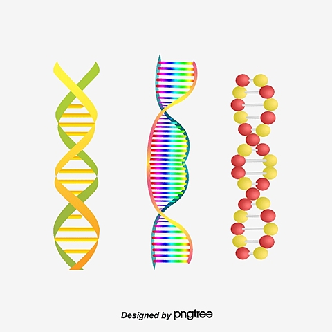 Descubrimiento de la estructura de doble hélice del ADN
