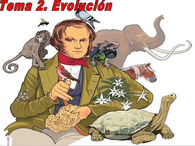 GEORGES LOUIS LECLERC