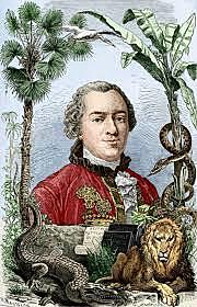 Conde Buffón (1707 d.C/ 1778 d.C)