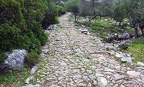 les vies (carrateres)