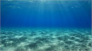 Abiotic factors of an ecosystem