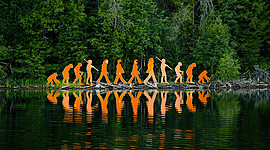 Timeline: EL LARGO CAMINO DE LA EVOLUCIÓN