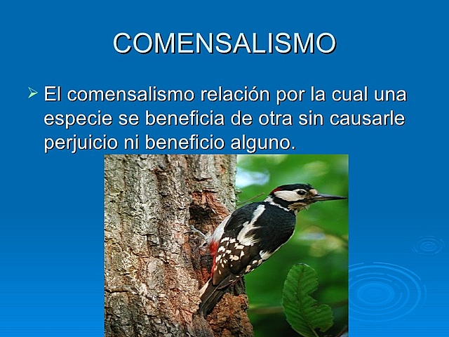 COMENSALISMO