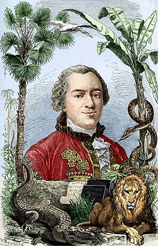 Georges-Louis Leclerc de Buffon