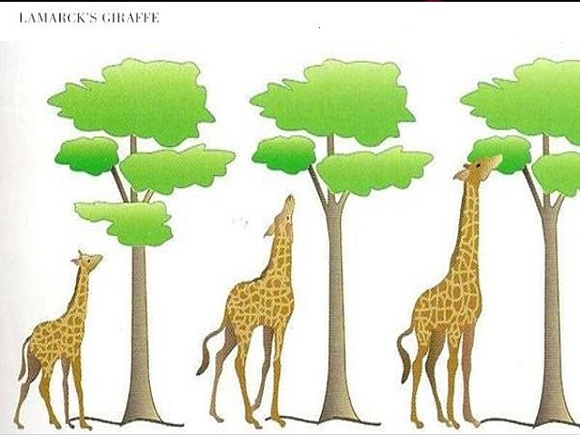 Jean Baptiste Lamarck